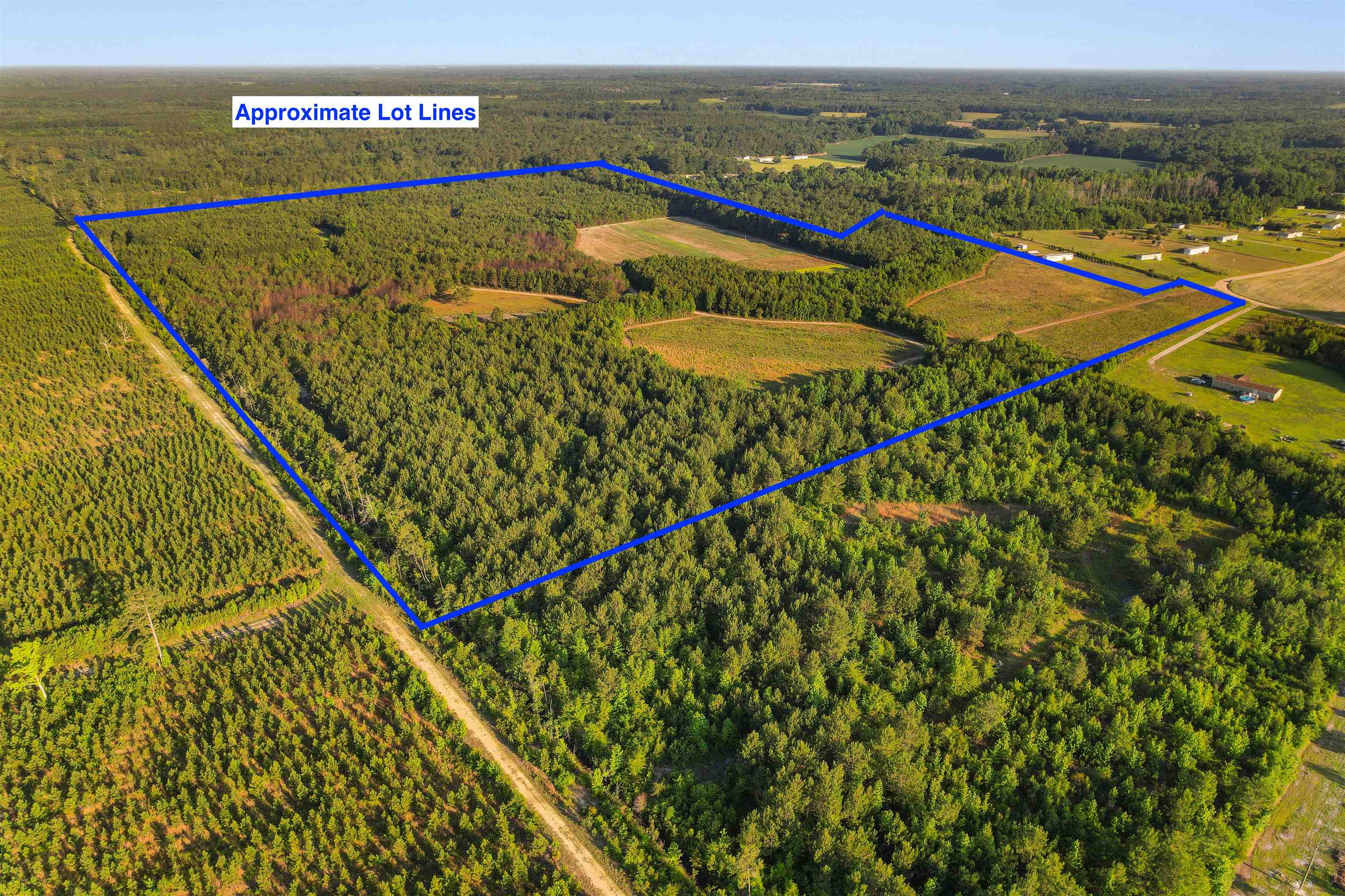 77-acres - Tbd Bert Hanna Road Hemingway, SC 29554 - Photo 27 of 28