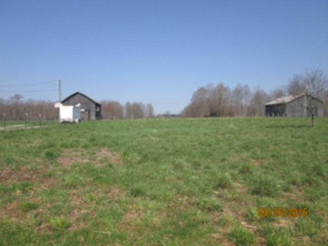 648 Bee Lick Road Brodhead, KY 40409 - Photo 5 of 30 Photo 5