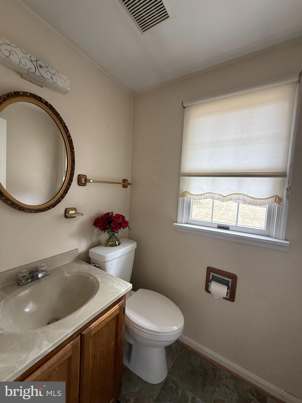 6608 Horseshoe Road Clinton, MD 20735 - Photo 17 of 20 a bathroom with a sink mirror vanity and toilet