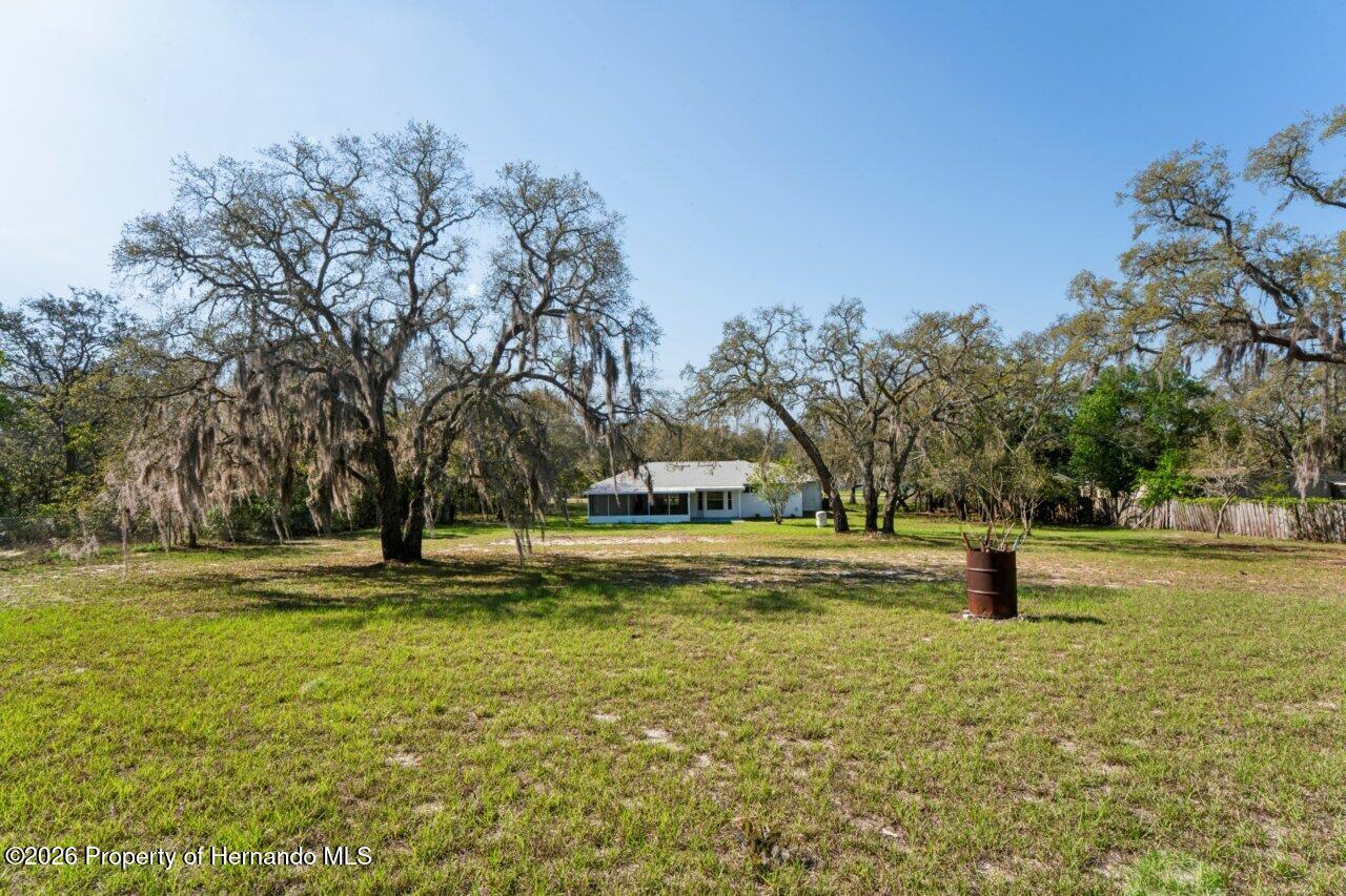 16411 Fiscus Drive Spring Hill, FL 34610 - Photo 6 of 30