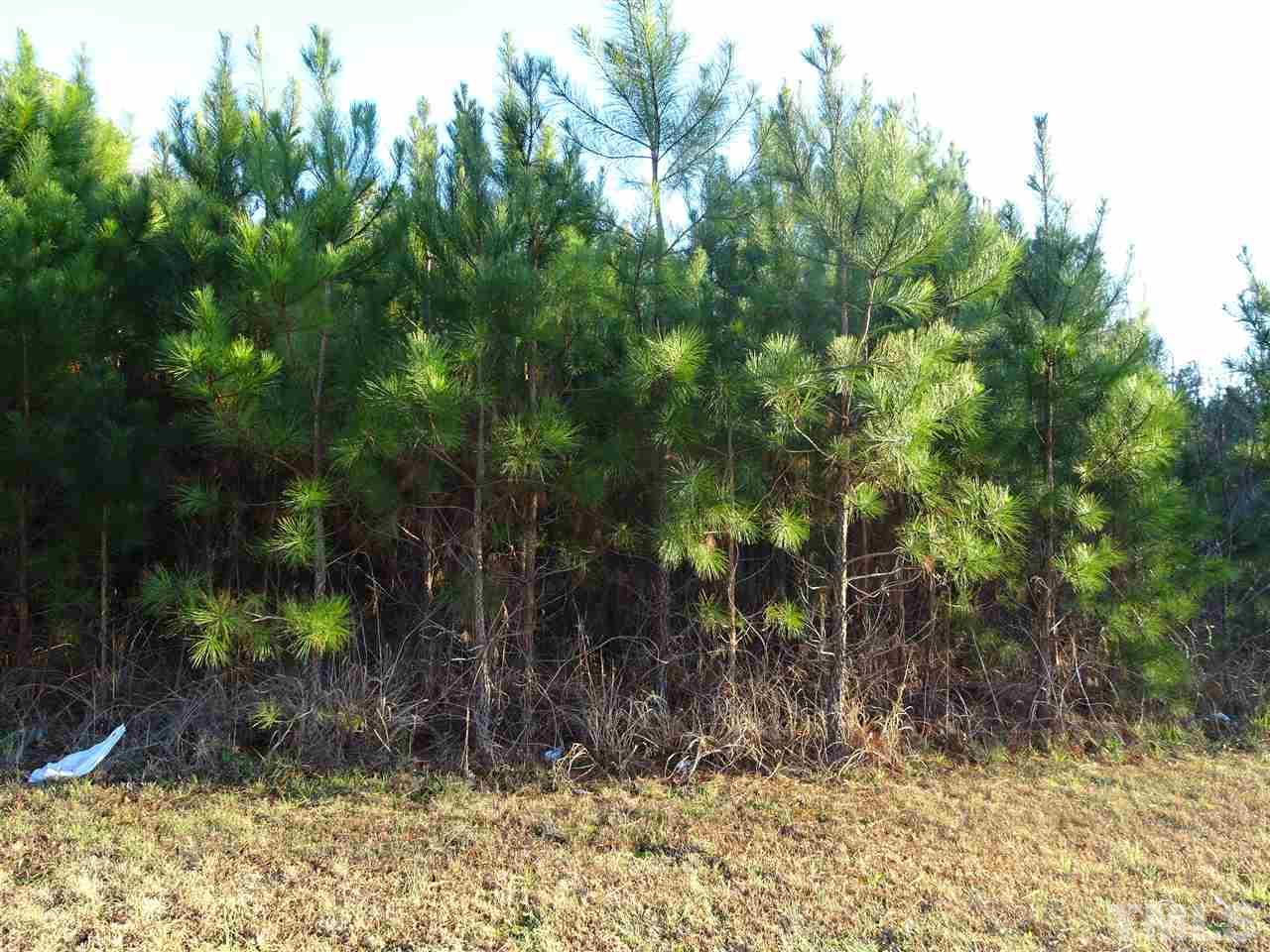 0 Raleigh Road Kittrell, NC 27544 - Photo 2 of 20 Gallery Image 2