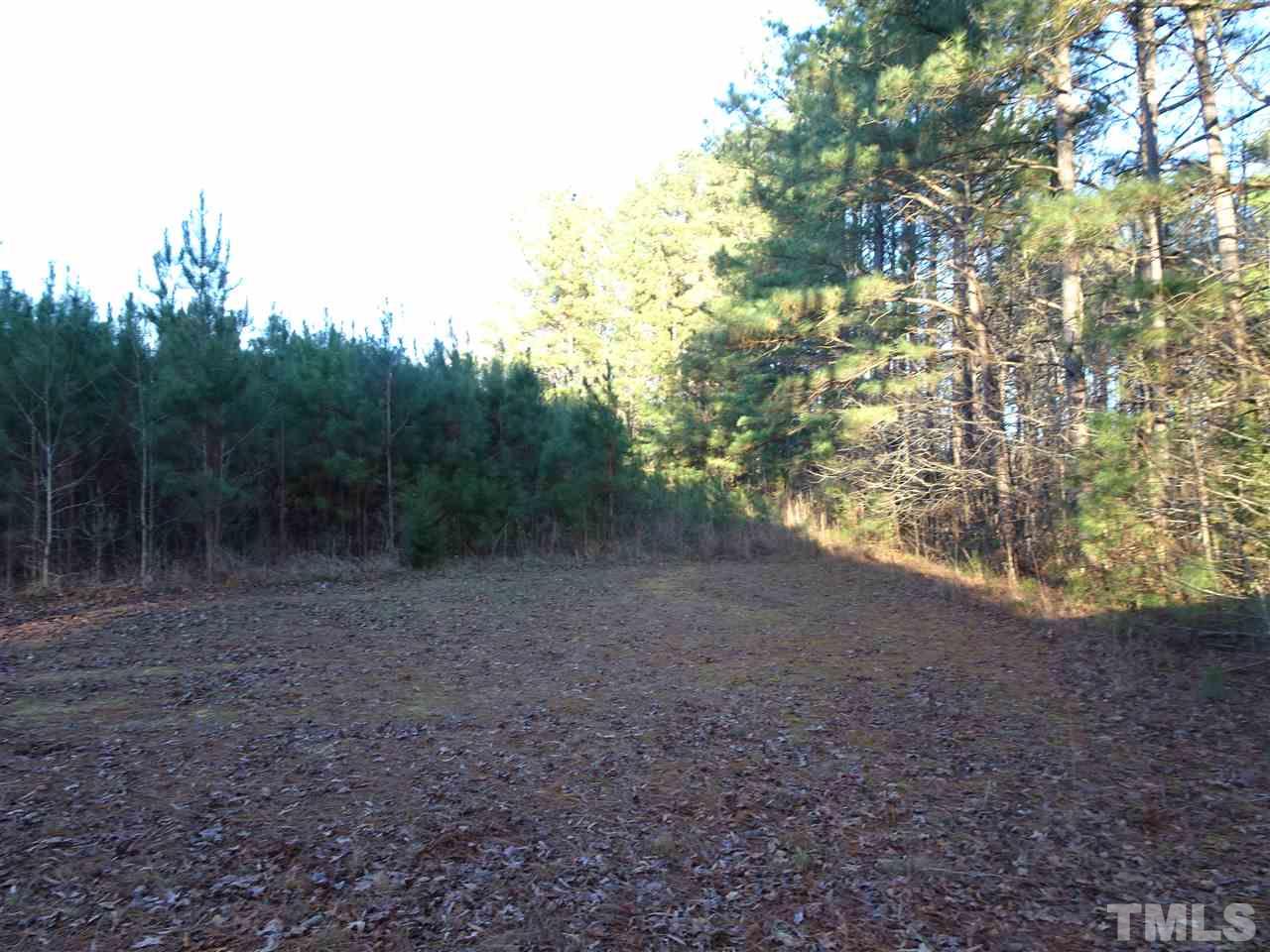 0 Raleigh Road Kittrell, NC 27544 - Photo 11 of 20 Gallery Image 11