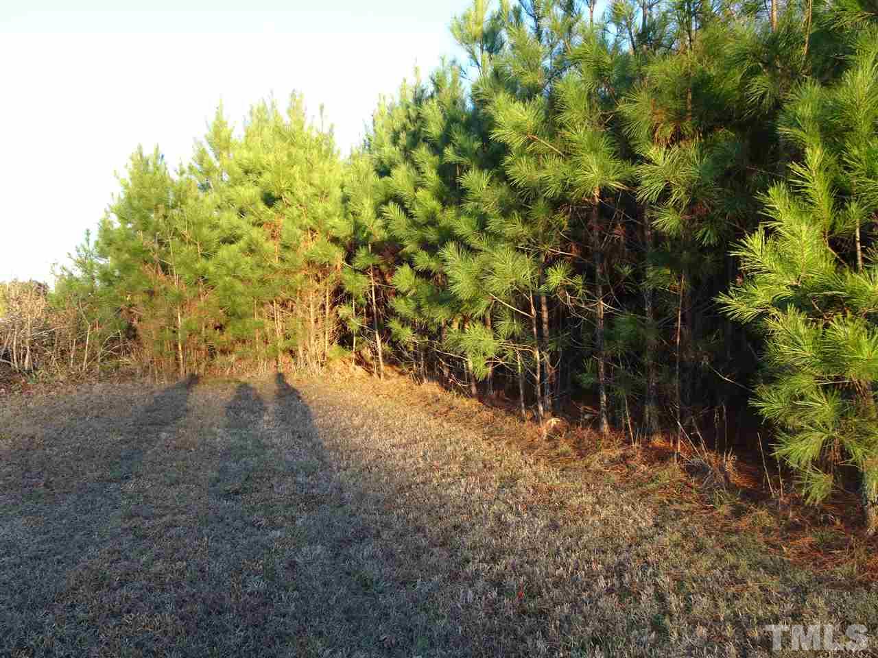 0 Raleigh Road Kittrell, NC 27544 - Photo 13 of 20 Gallery Image 13