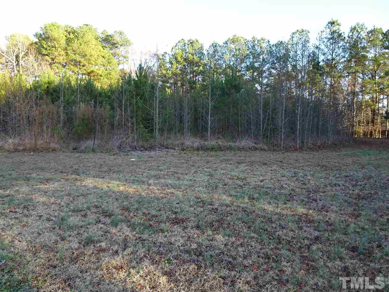 0 Raleigh Road Kittrell, NC 27544 - Photo 4 of 20 Gallery Image 4