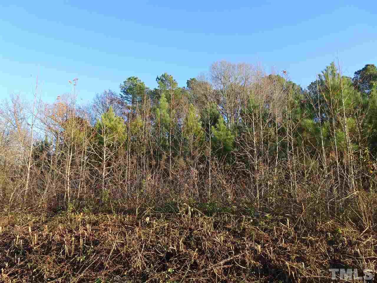0 Raleigh Road Kittrell, NC 27544 - Photo 8 of 20 Gallery Image 8