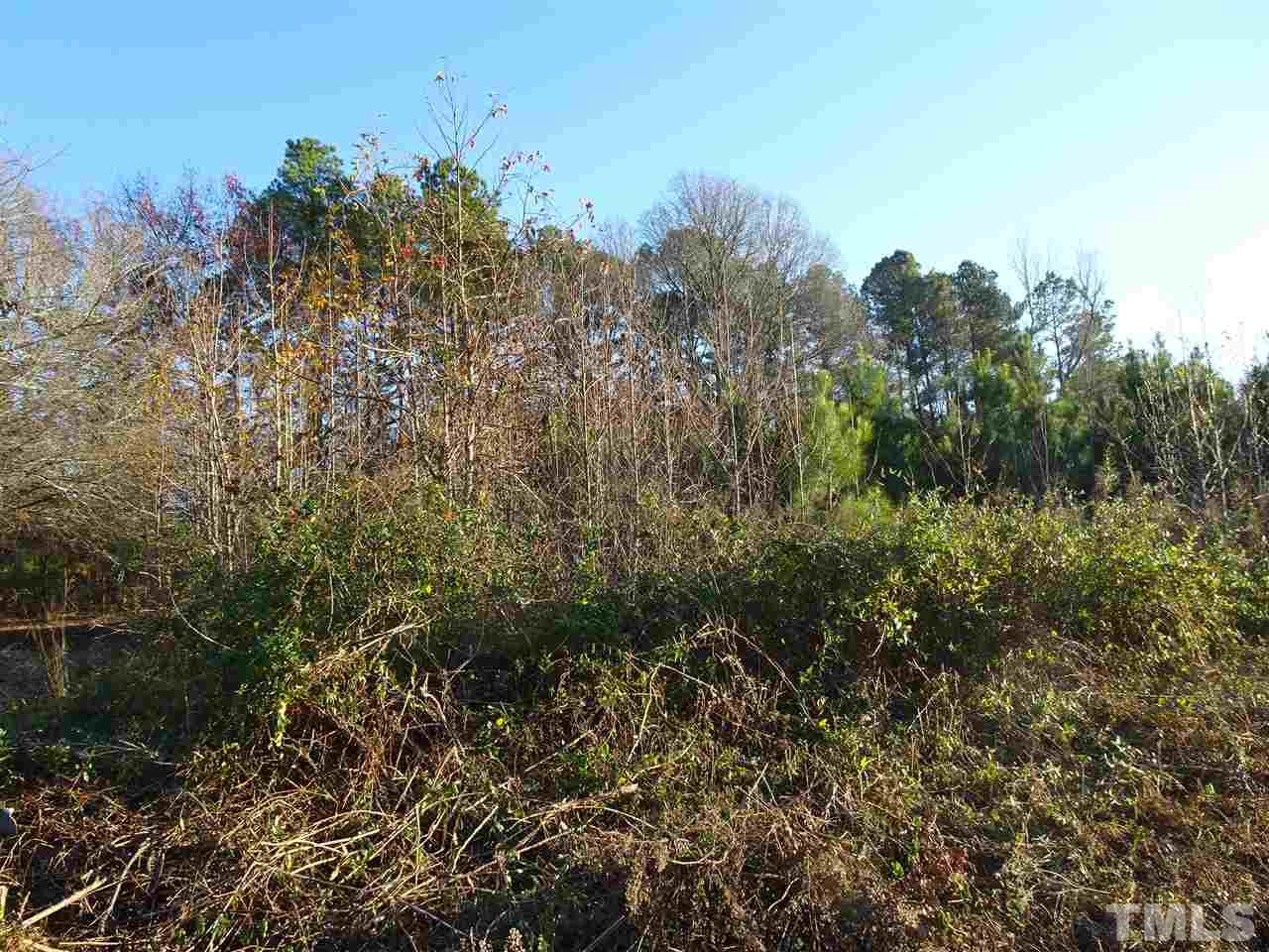0 Raleigh Road Kittrell, NC 27544 - Photo 9 of 20 Gallery Image 9