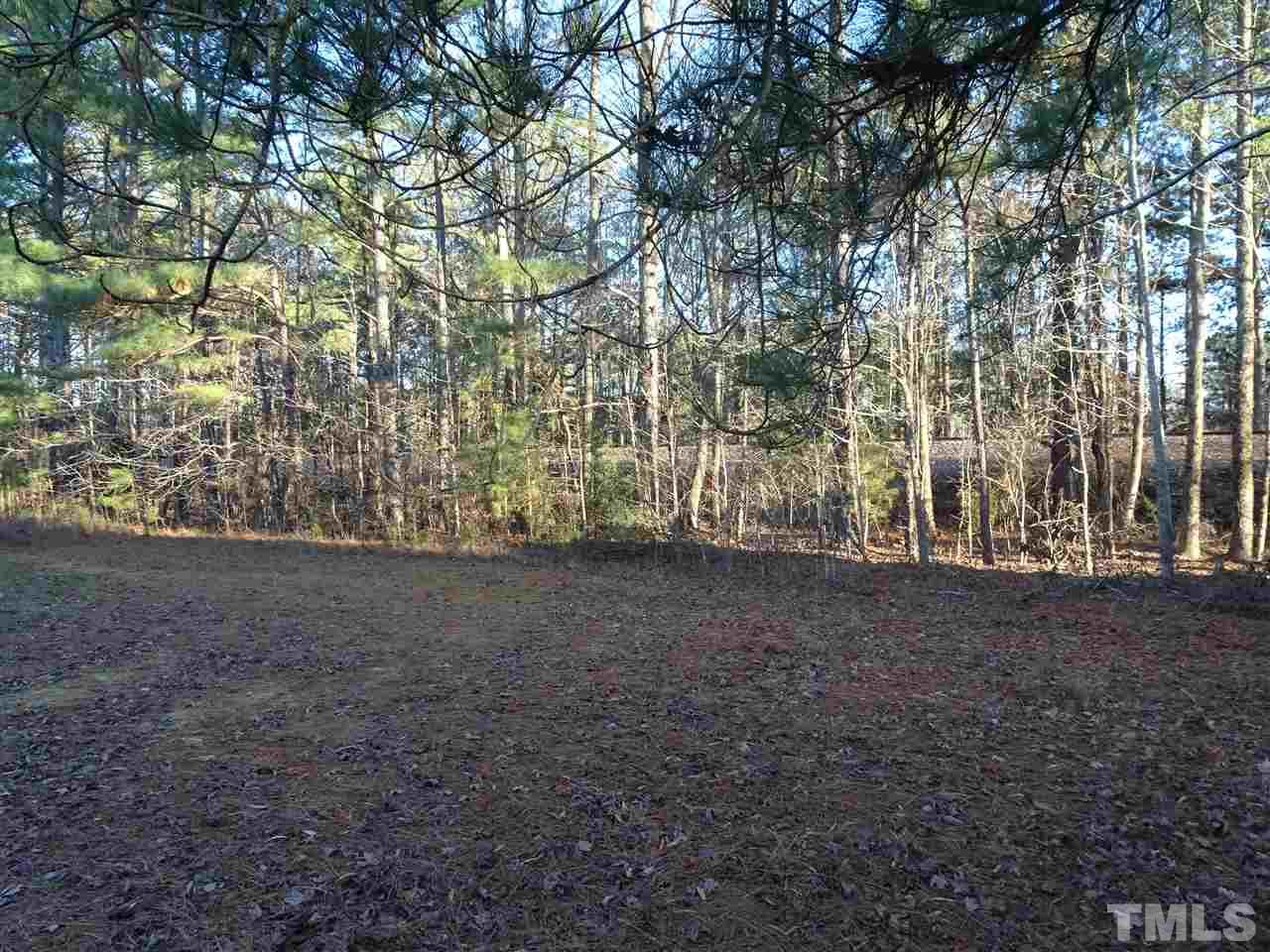0 Raleigh Road Kittrell, NC 27544 - Photo 10 of 20 Gallery Image 10