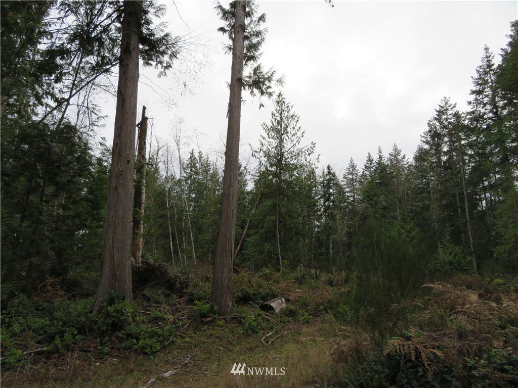 1747 Southwest Old Clifton Road Port Orchard, WA 98367 - Photo 14 of 19 Gallery Image 14
