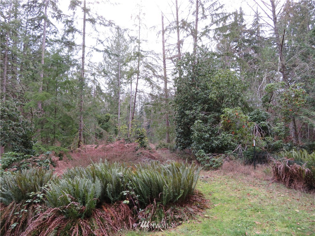 1747 Southwest Old Clifton Road Port Orchard, WA 98367 - Photo 5 of 19 Gallery Image 5