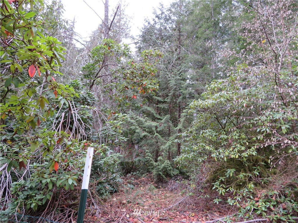 1747 Southwest Old Clifton Road Port Orchard, WA 98367 - Photo 6 of 19 Gallery Image 6