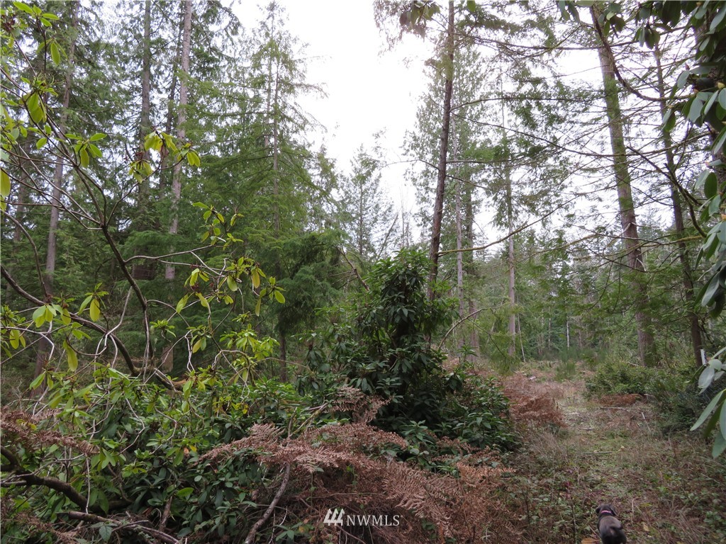 1747 Southwest Old Clifton Road Port Orchard, WA 98367 - Photo 8 of 19 Gallery Image 8