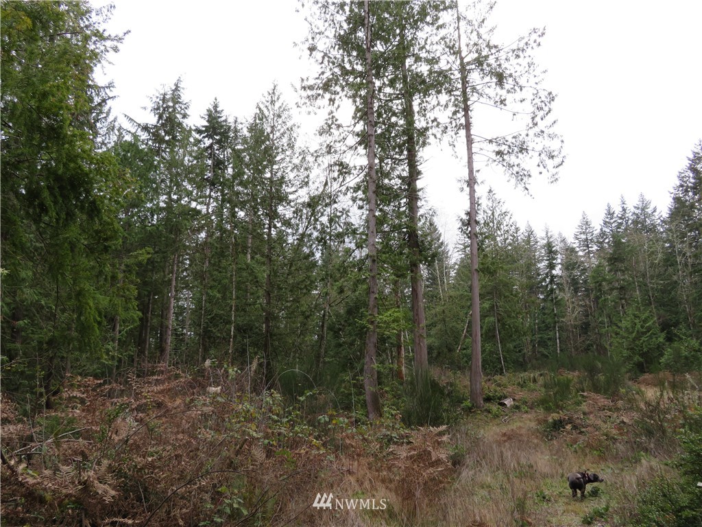 1747 Southwest Old Clifton Road Port Orchard, WA 98367 - Photo 10 of 19 Gallery Image 10