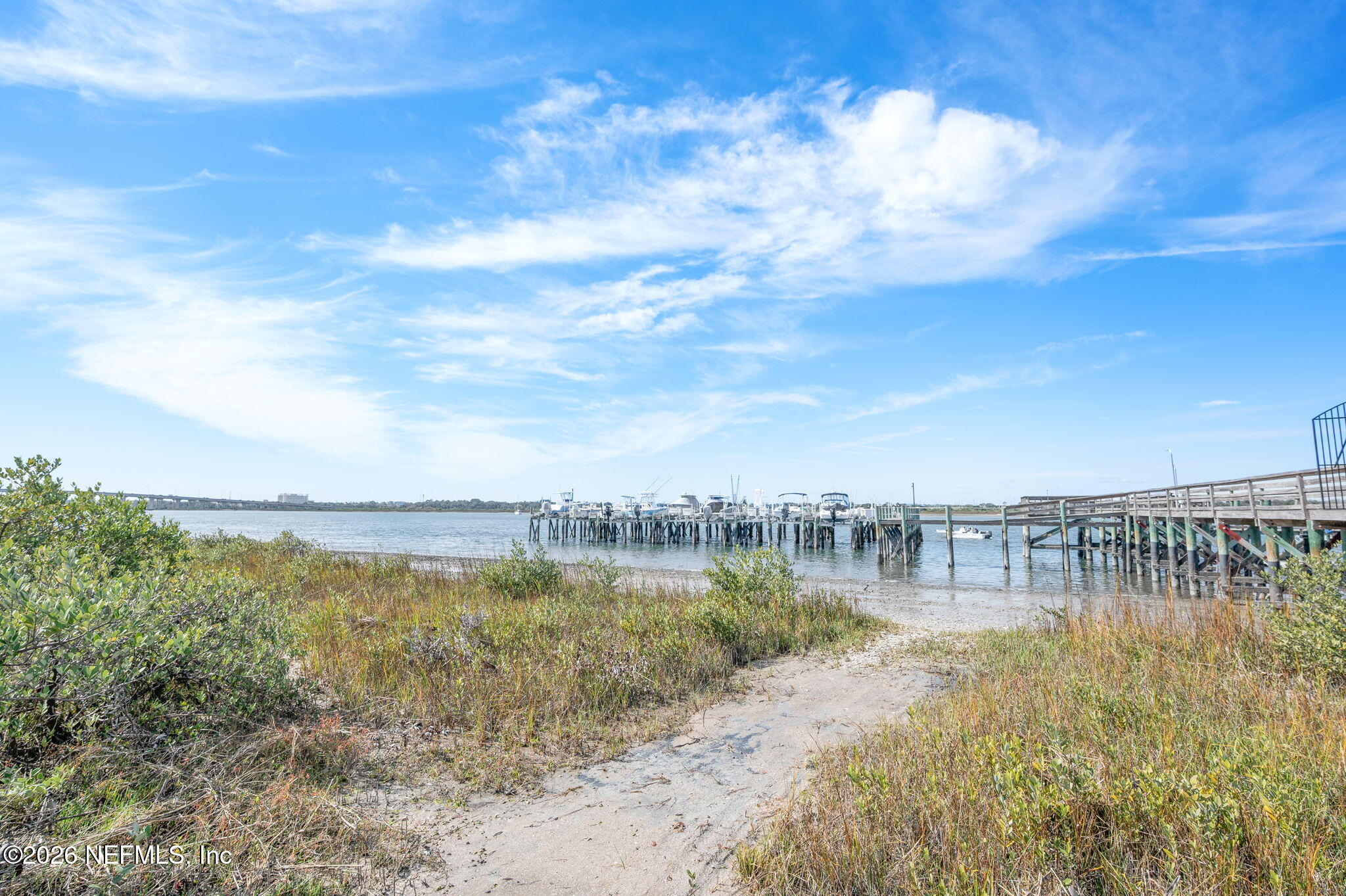 115 Spoonbill Point Court St. Augustine, FL 32080 - Photo 3 of 50 Community Dock