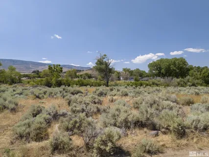 a view of a bunch of trees in a field