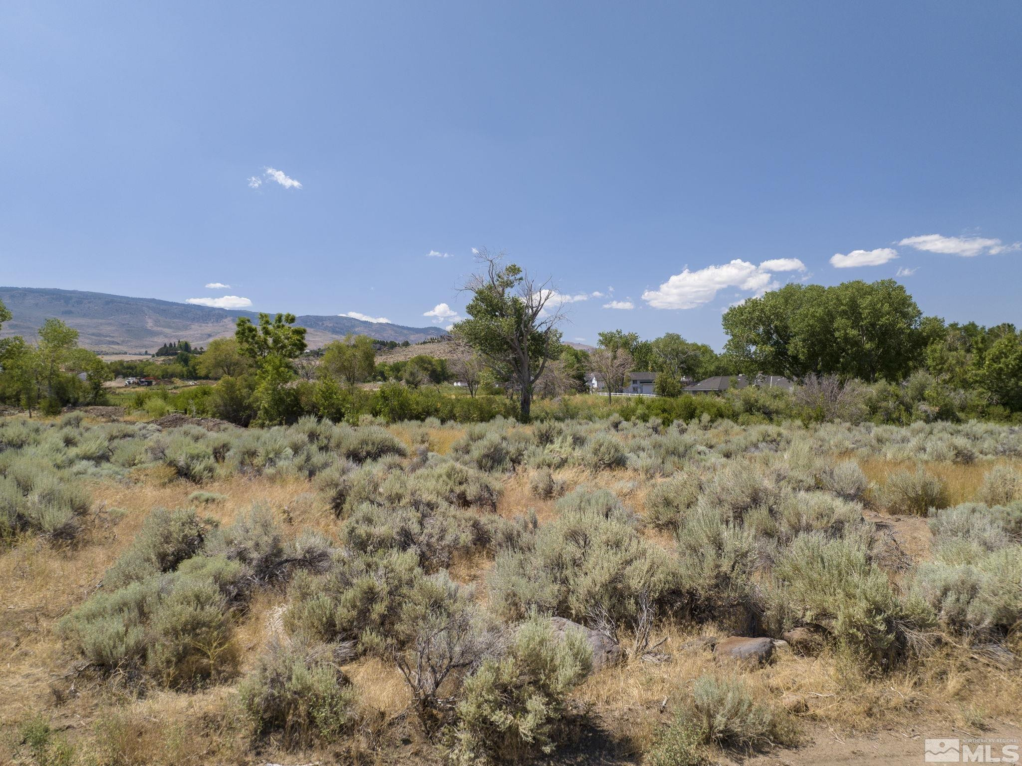 27 Glenhaven Drive Reno, NV 89511 - Photo 13 of 25 a view of a bunch of trees in a field