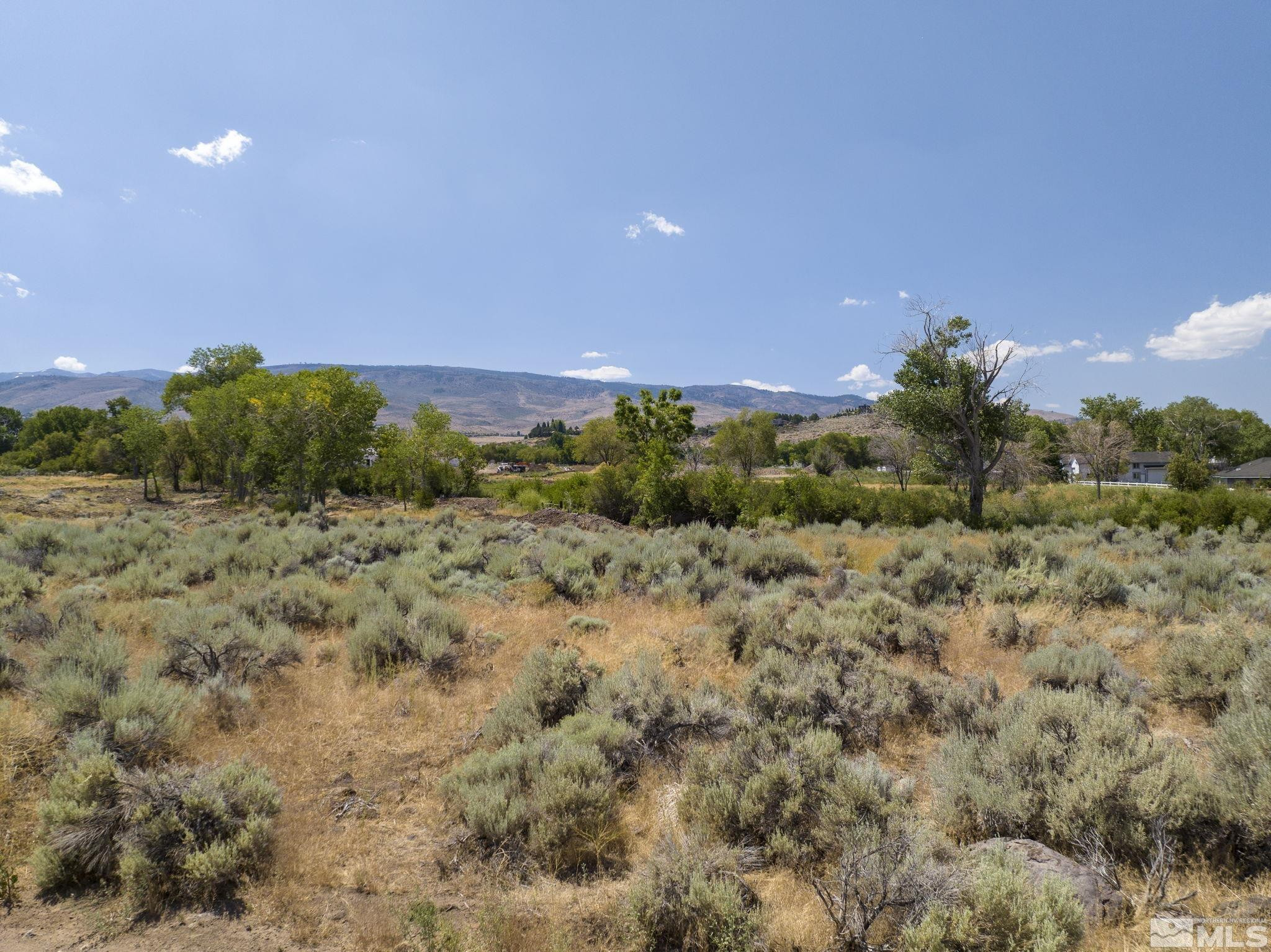27 Glenhaven Drive Reno, NV 89511 - Photo 14 of 25 a view of a field with a tree in the background