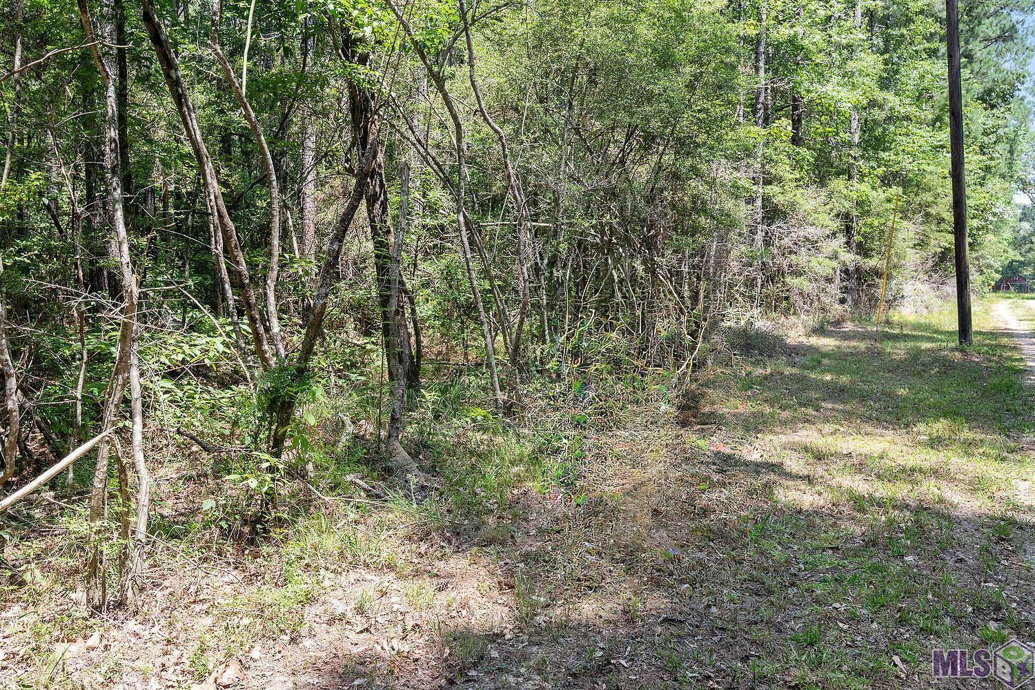Lot 1 Pace Road Clinton, LA 70722 - Photo 5 of 6