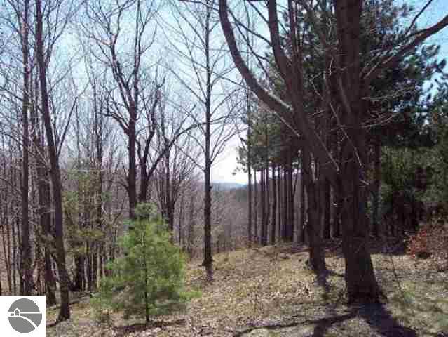 0 Graves Road, Unit LOT: A Copemish, MI 49625 - Photo 5 of 11
