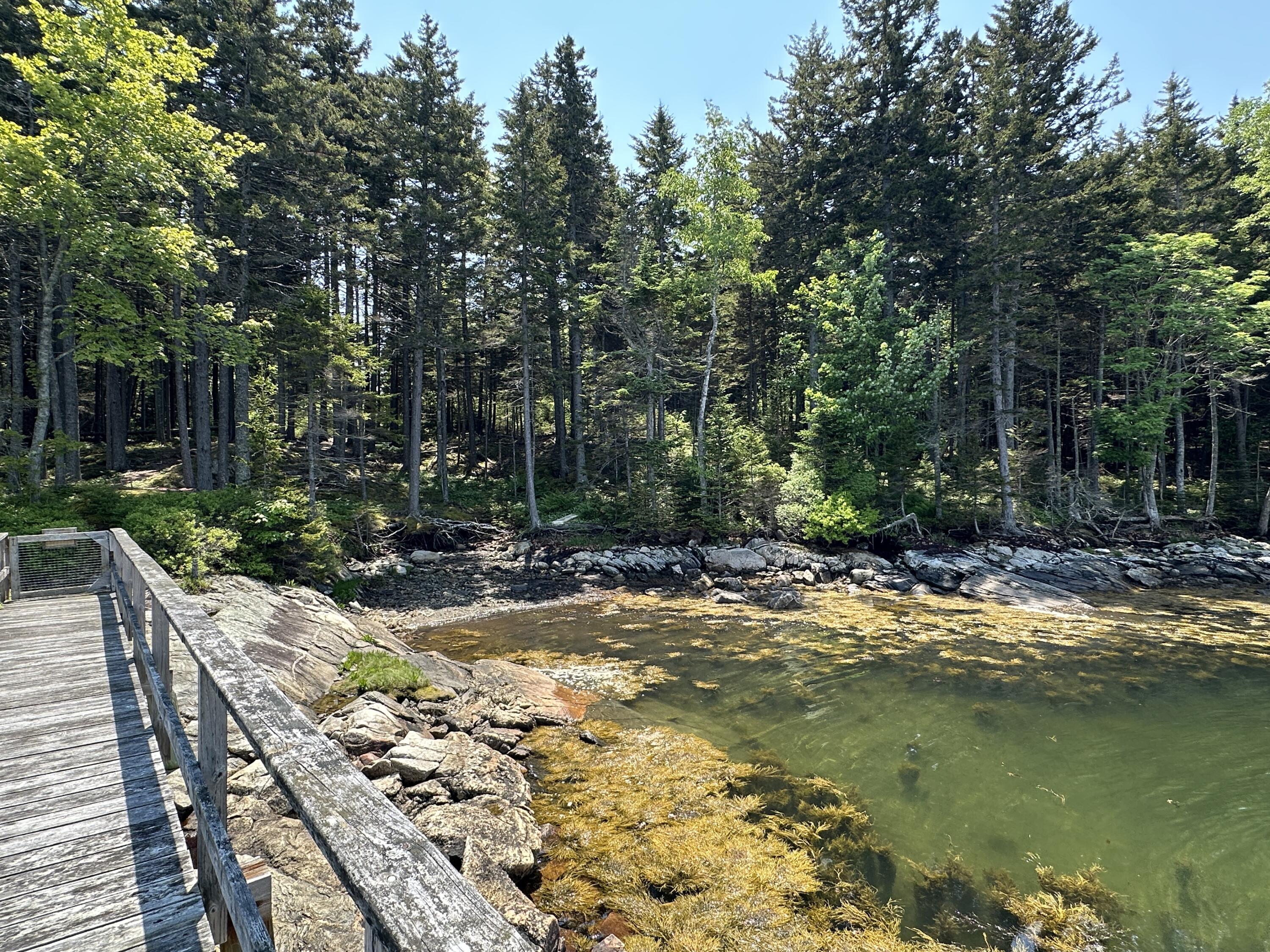 Lot 5 Waymouth Road Tenants Harbor, ME 04860 - Photo 21 of 56 Shared Dock & Cove