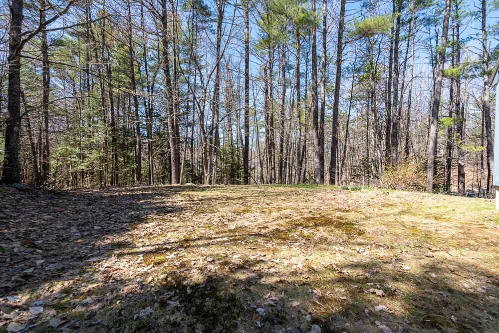 872 Garfield Road Auburn, ME 04210 - Photo 5 of 29 Side Lawn