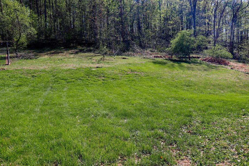 342 Shuler Hollow Road Chilhowie, VA 24319 - Photo 8 of 51 Gallery Image 8