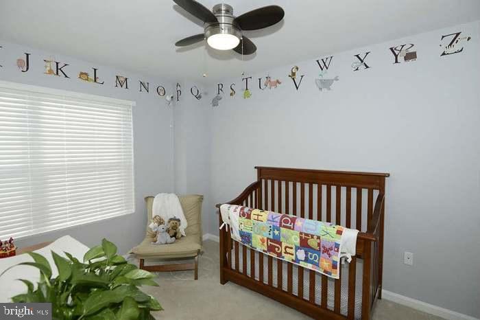 3052 South Glebe Road Arlington, VA 22206 - Photo 11 of 35