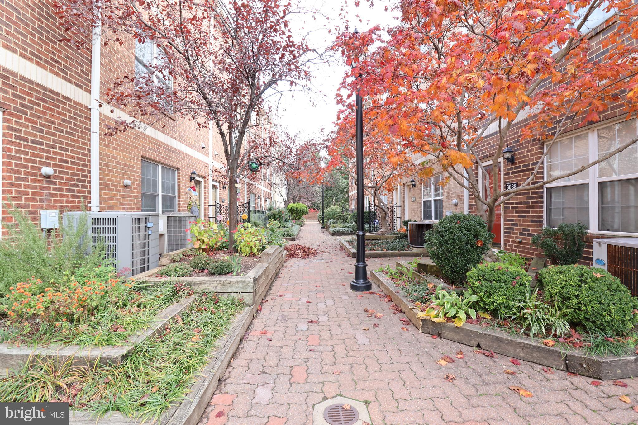 3052 South Glebe Road Arlington, VA 22206 - Photo 27 of 35