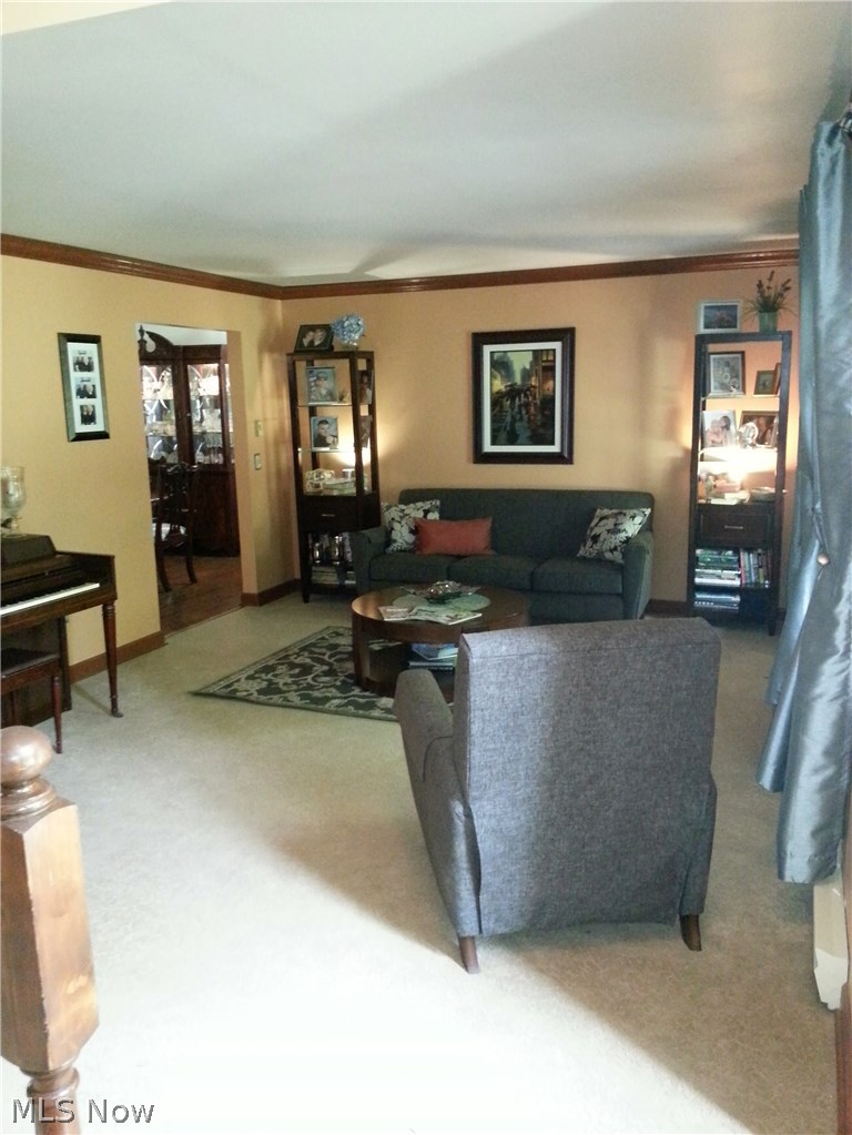 1101 West Calla Road North Lima, OH 44452 - Photo 10 of 25 Gallery Image 10