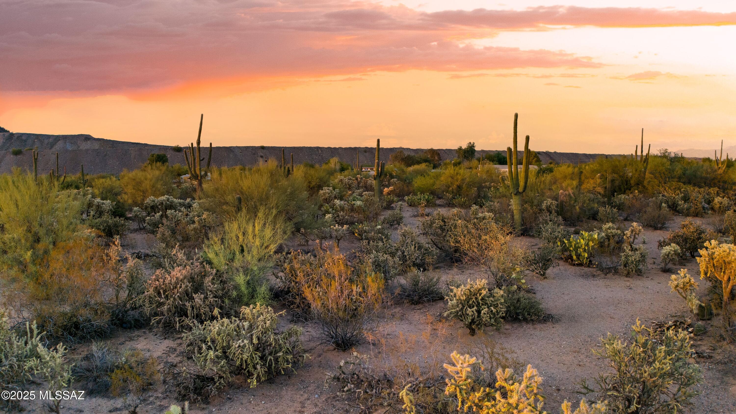 0 West Massingale Road Tucson, AZ 85743 - Photo 13 of 19