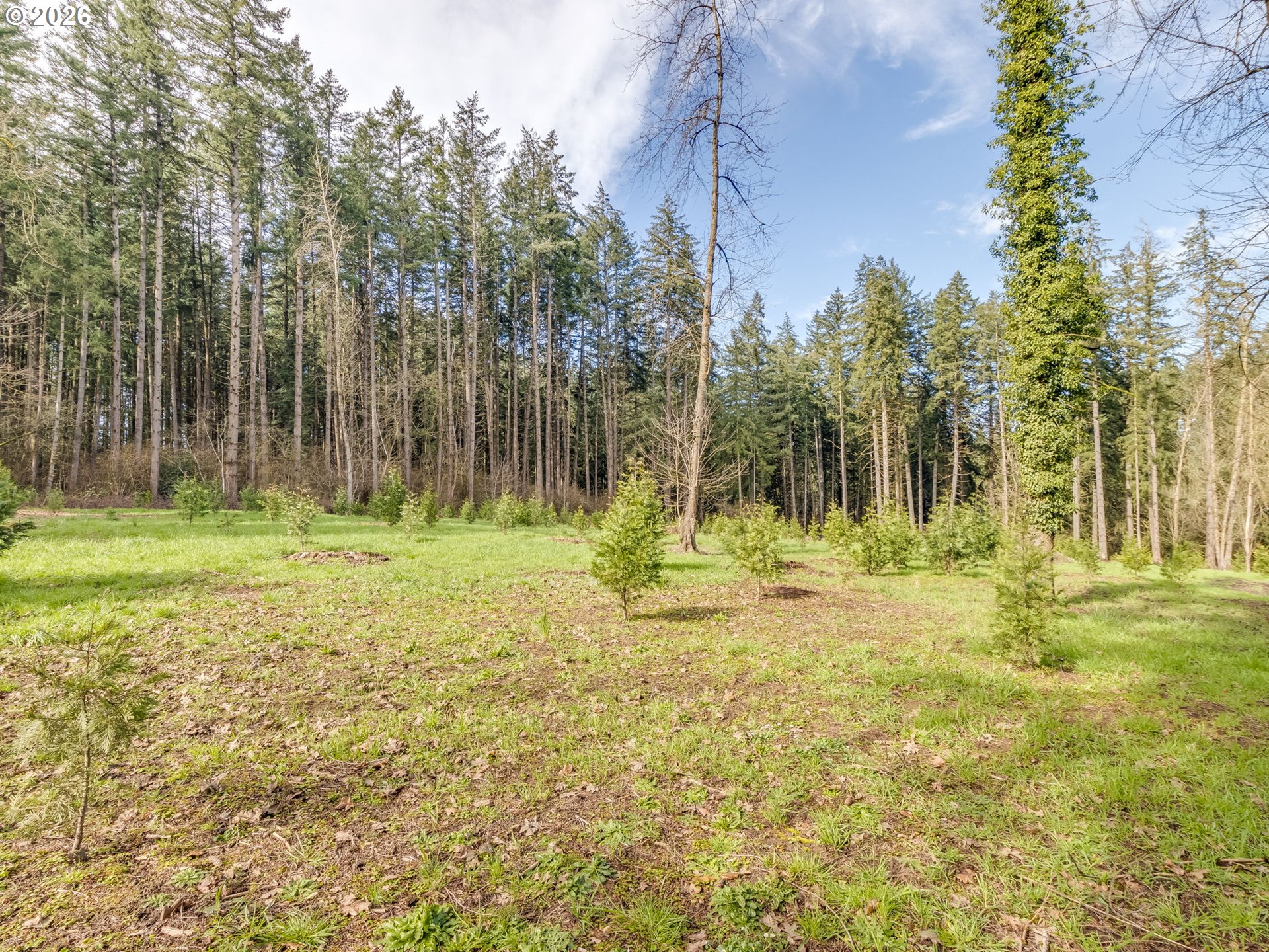 5801 Northeast Abbey Road Carlton, OR 97111 - Photo 41 of 48 a backyard of a house with lots of green space and garden