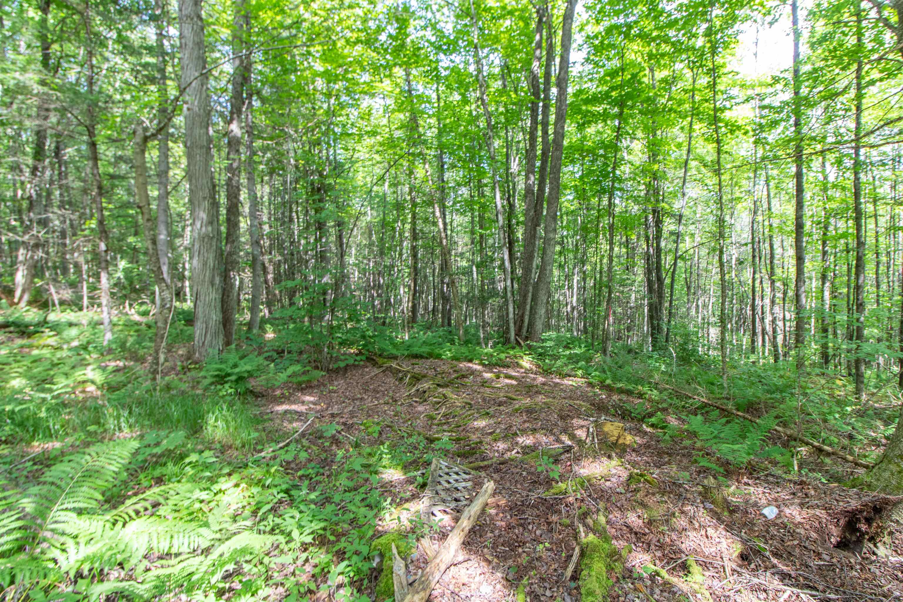 418 Hall Road Maidstone, VT 05905 - Photo 26 of 29 Gallery Image 26