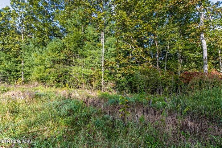 1566 Cherokee Road East Crossville, TN 38572 - Photo 12 of 13 1566 E Cherokee Rd pic 18