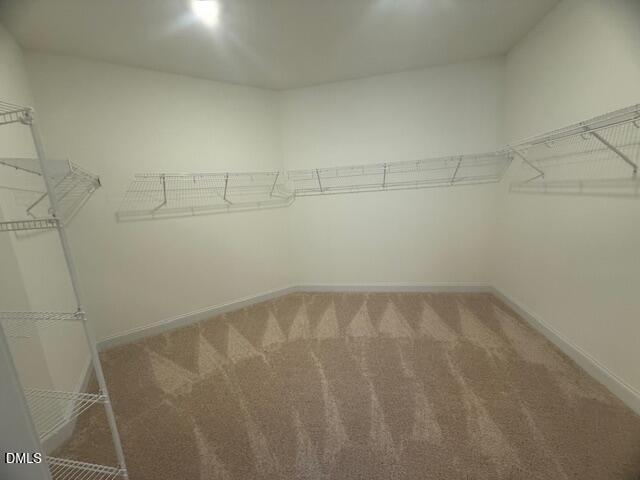 40 Slippery Elm Road Youngsville, NC 27596 - Photo 19 of 31 IMG_6415