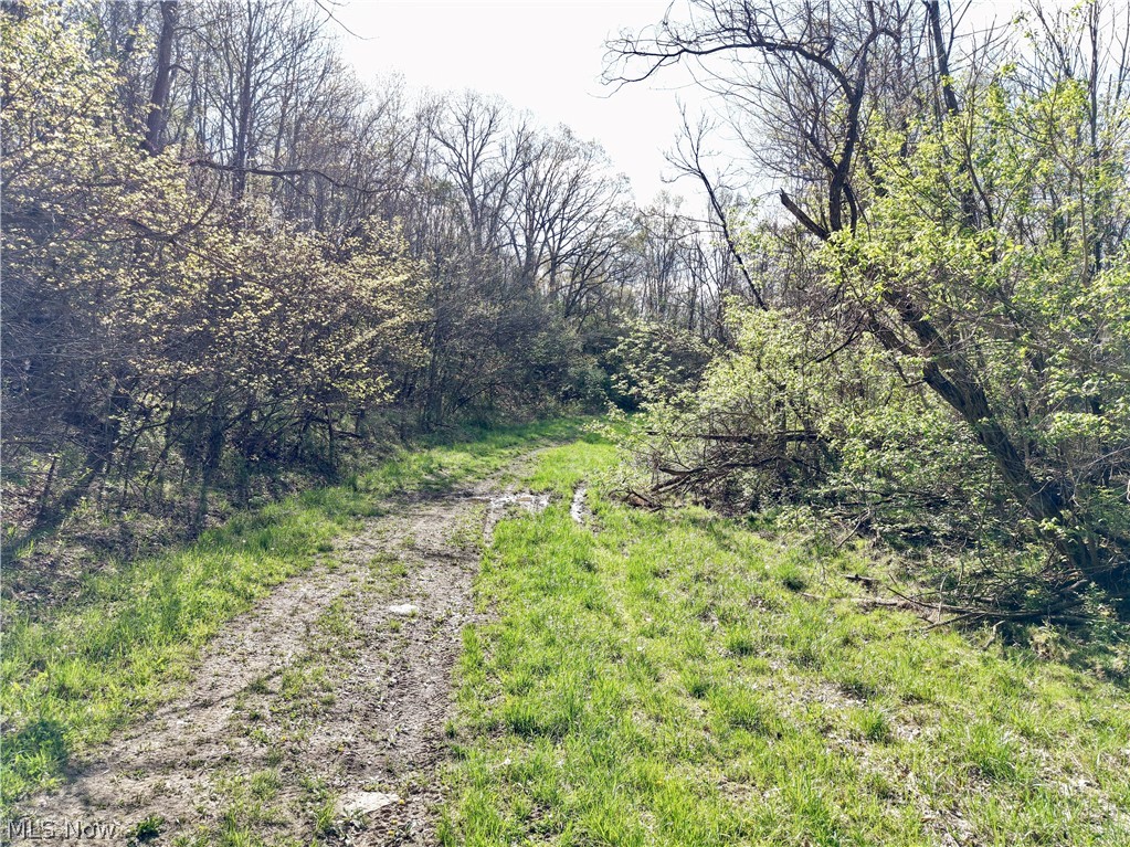 0 Harrons Ridge Road Dexter City, OH 45727 - Photo 13 of 29