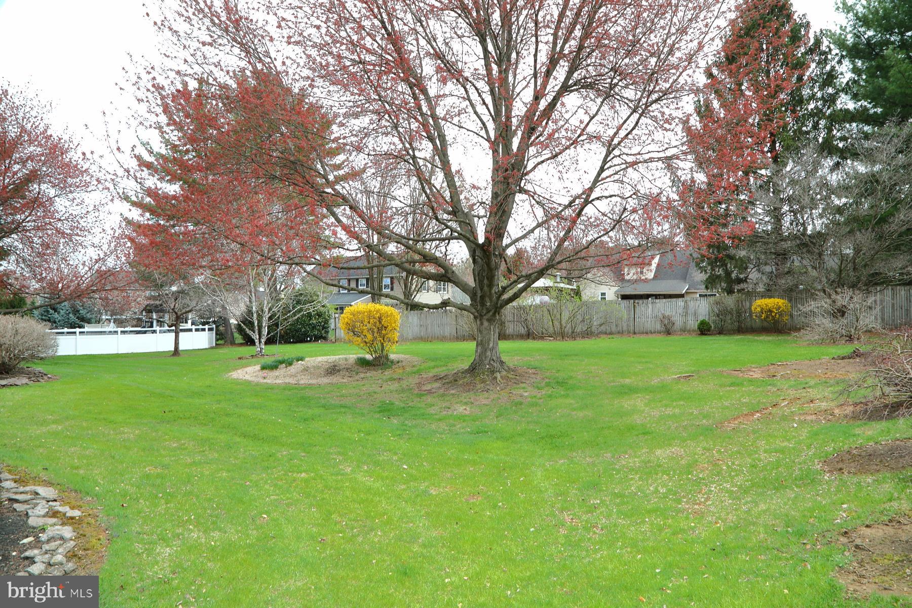 509 Koser Road Lititz, PA 17543 - Photo 10 of 36 a view of a house with backyard and tree