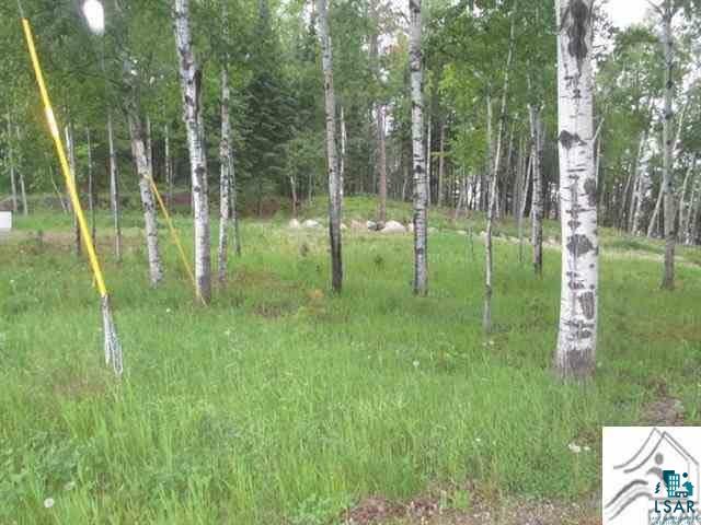 901 North Pioneer Road Ely, MN 55731 - Photo 9 of 17 Gallery Image 9