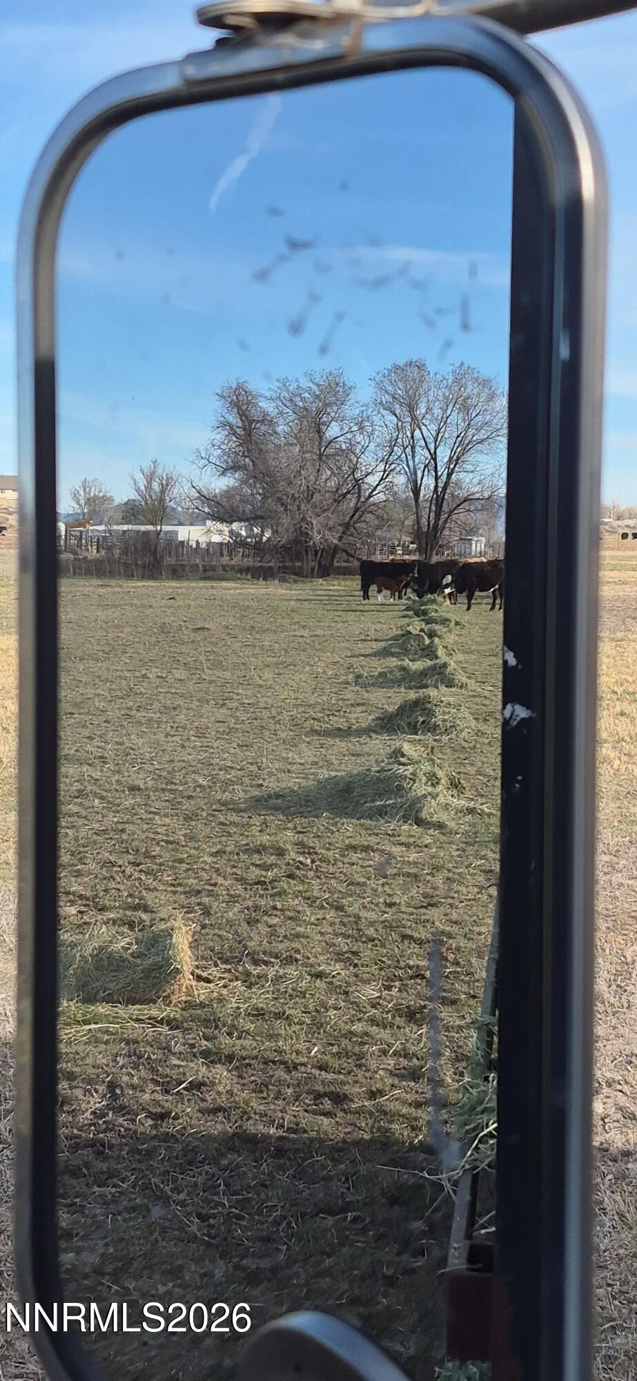 3280 Lone Tree Road Fallon, NV 89406 - Photo 17 of 59 CHUCK FEEDING COWS 26