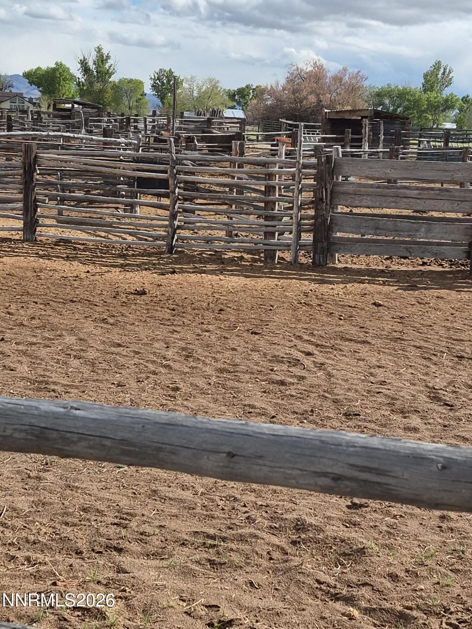 3280 Lone Tree Road Fallon, NV 89406 - Photo 20 of 59 CHUCK CORRALS 3 26