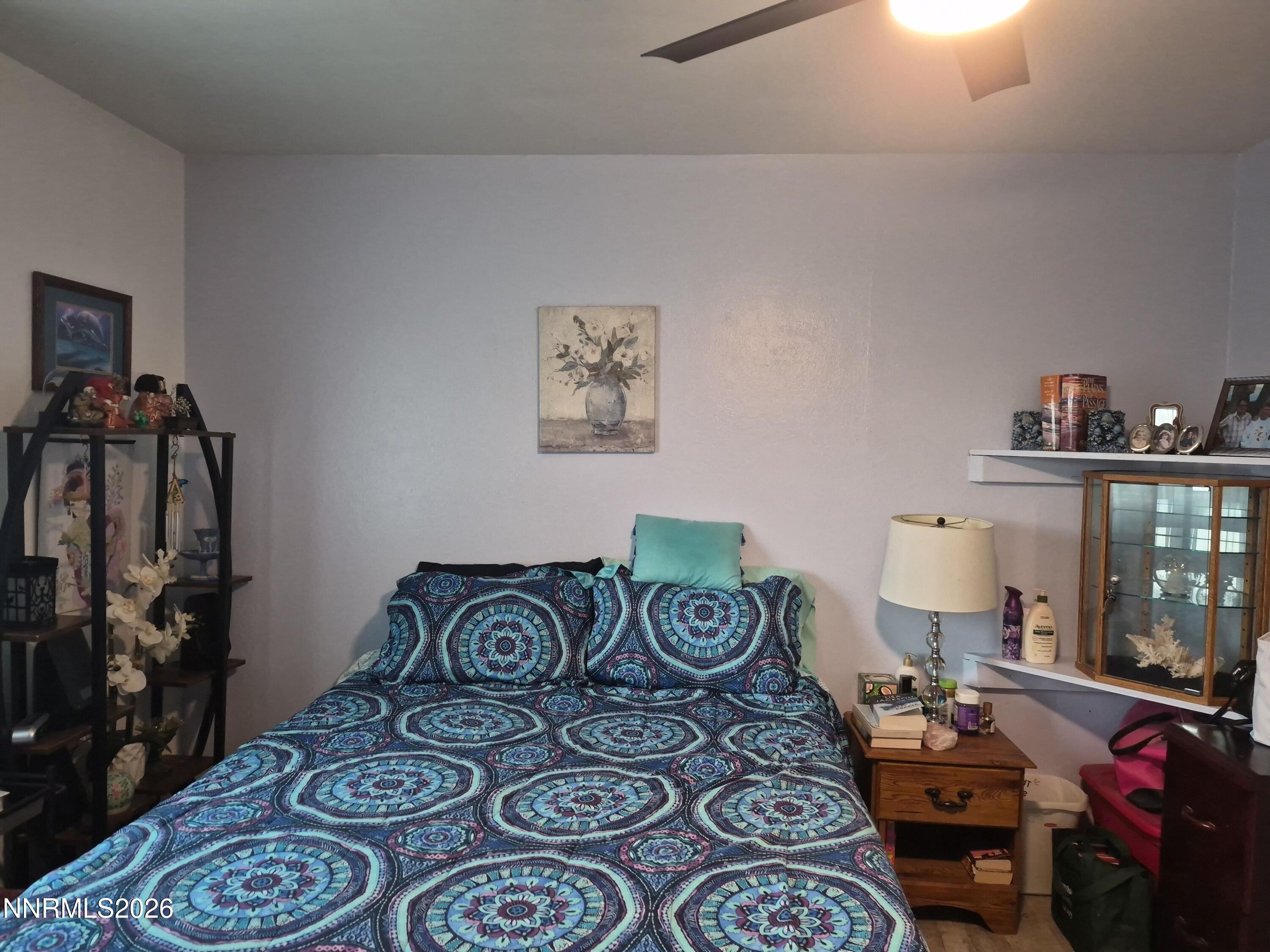 3280 Lone Tree Road Fallon, NV 89406 - Photo 45 of 59 a bedroom with furniture and a closet