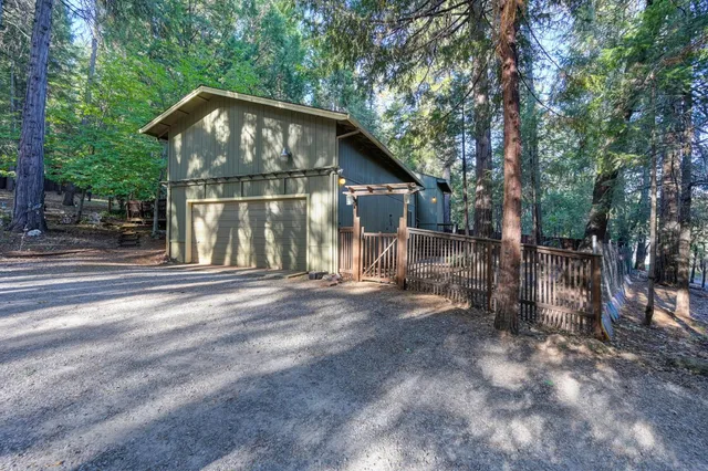 a view of a forest with trees in the background