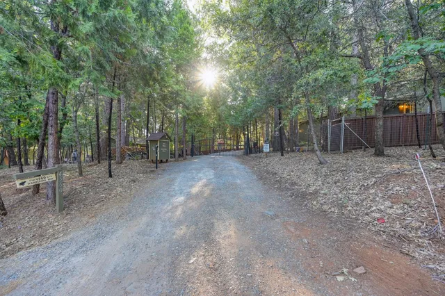 a view of outdoor space with trees