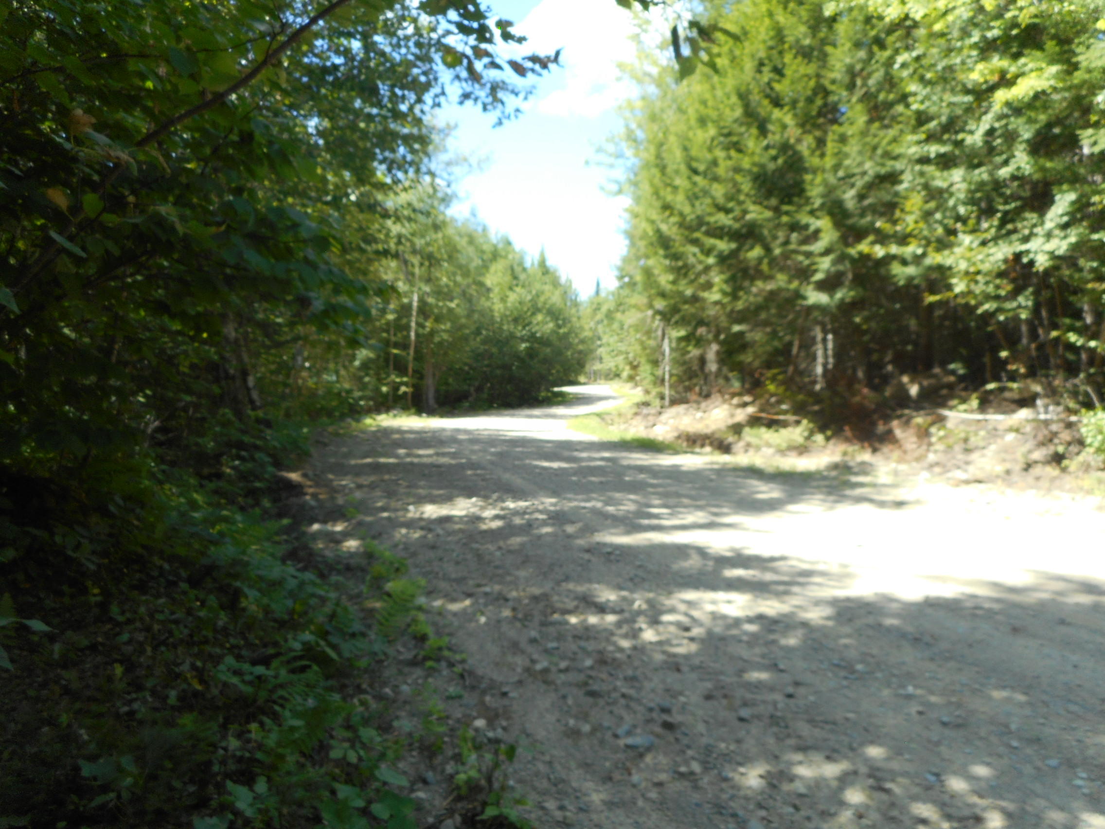 Tbd Tbd Wheeler Road Lincoln, ME 04457 - Photo 14 of 19 DSCN2616