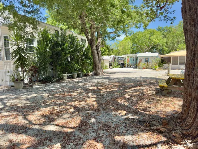 a view of a yard with a tree