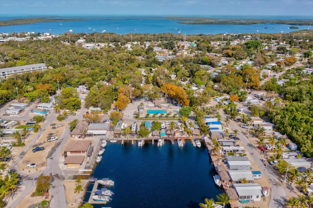a view of a flower pot