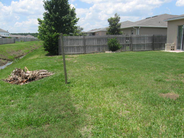 2995 Valkyrie Road Middleburg, FL 32068 - Photo 8 of 8 Backyard