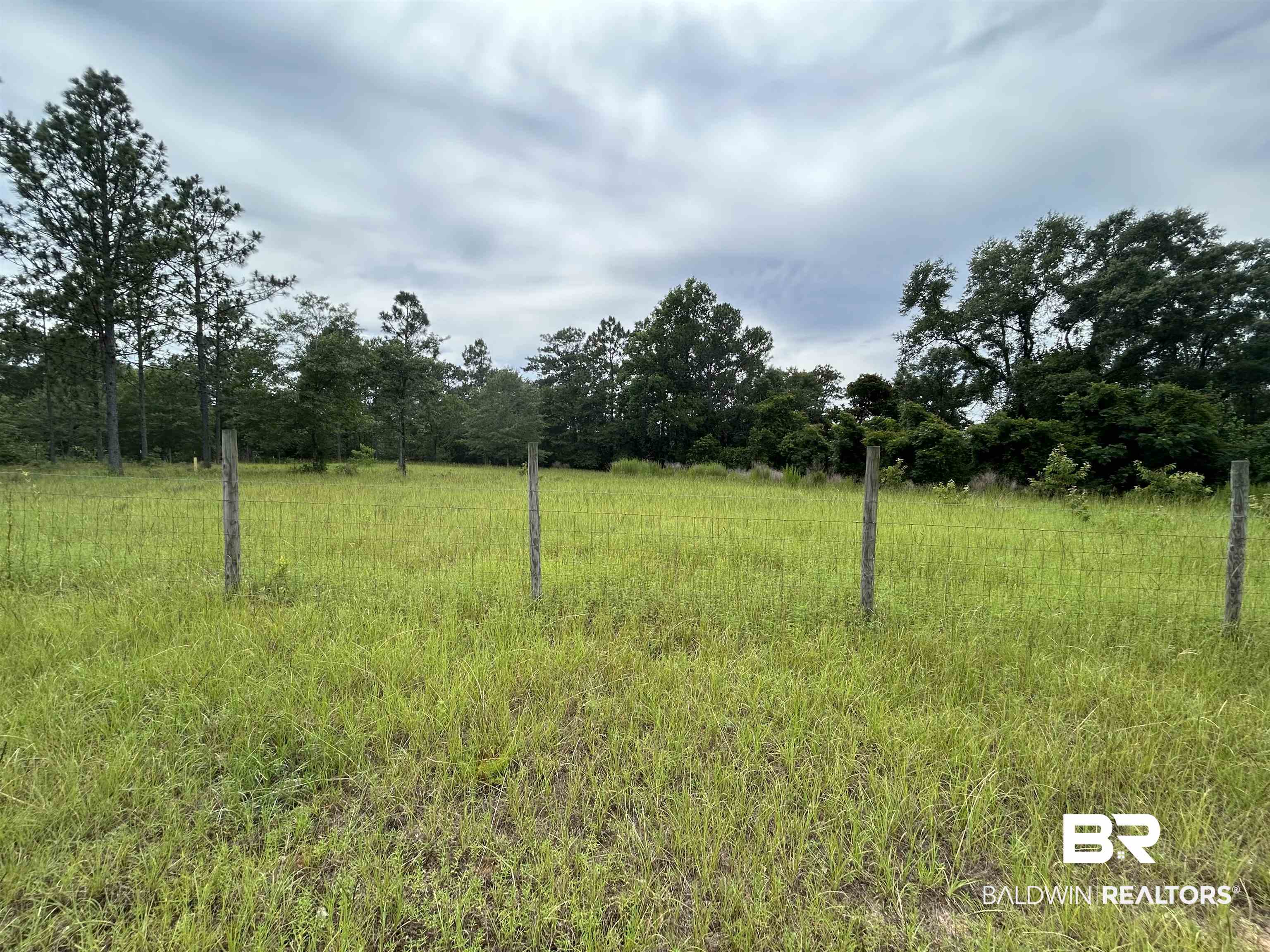 0 Hunters Trail Citronelle, AL 36522 - Photo 2 of 8 View of yard