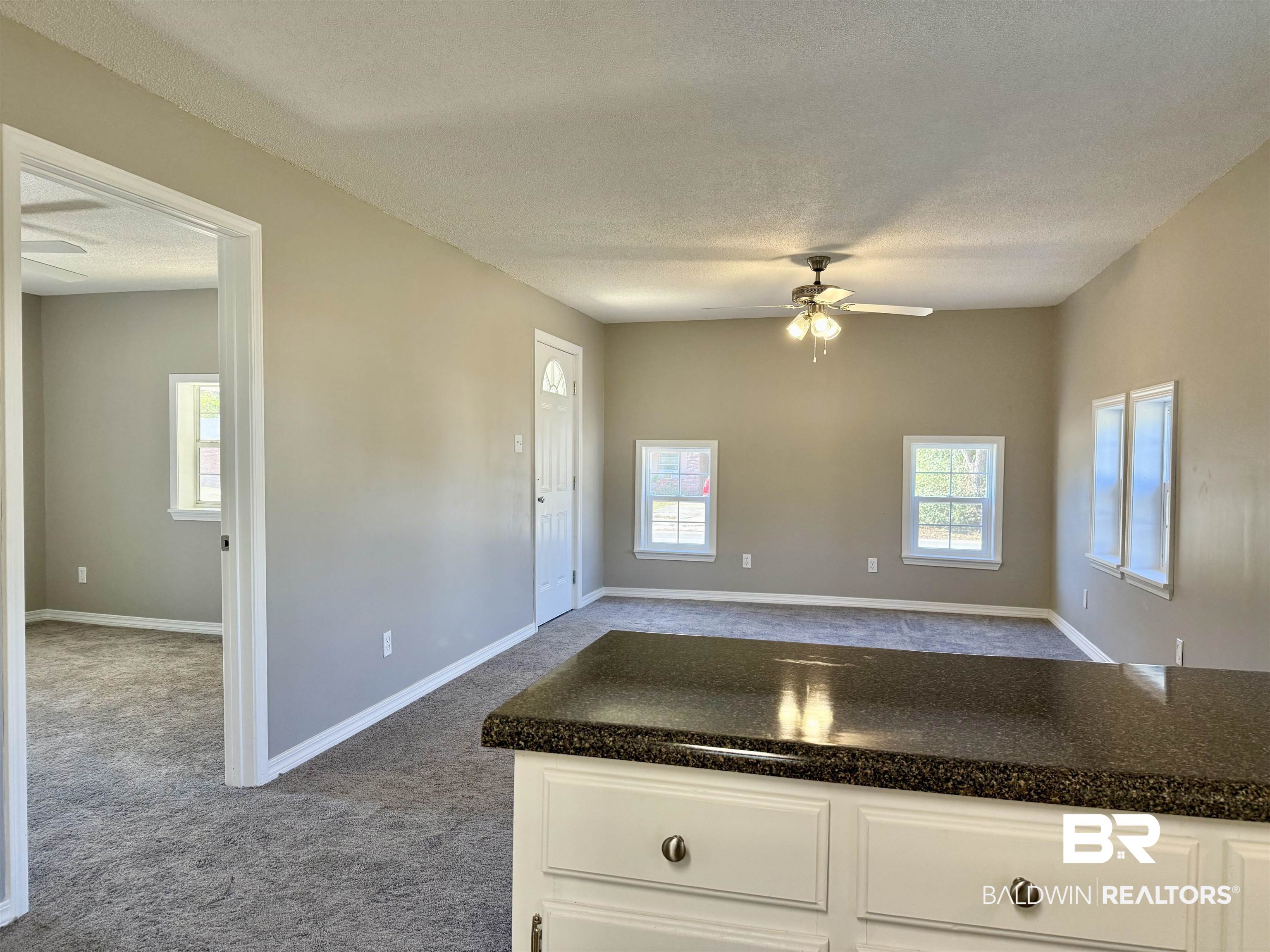 205 Schad Street Brewton, AL 36426 - Photo 5 of 11 Kitchen with ceiling fan, white cabinetry, a textured ceiling, carpet flooring, and plenty of natural light