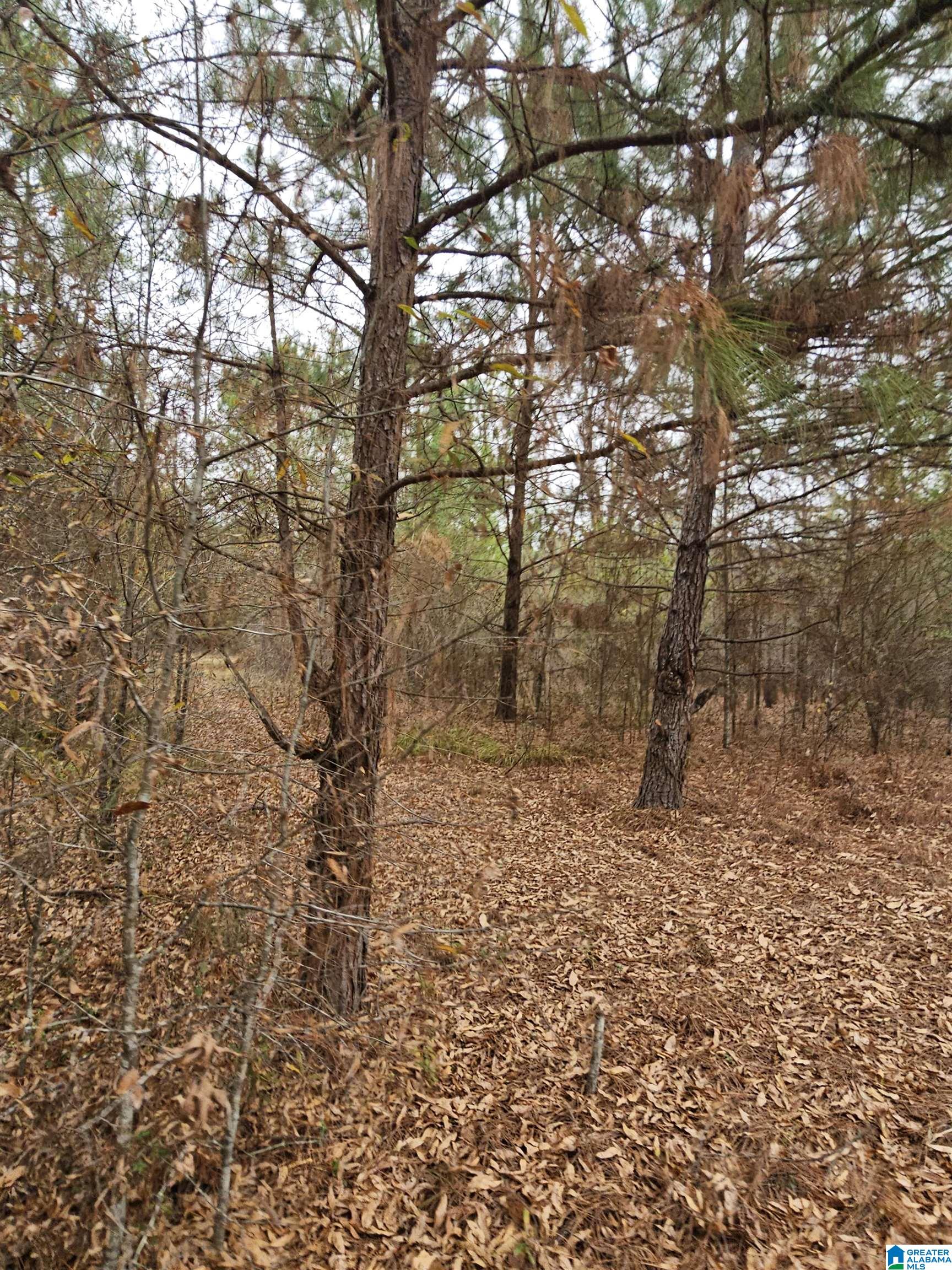 0 County Road 724 Calera, AL 35040 - Photo 15 of 18