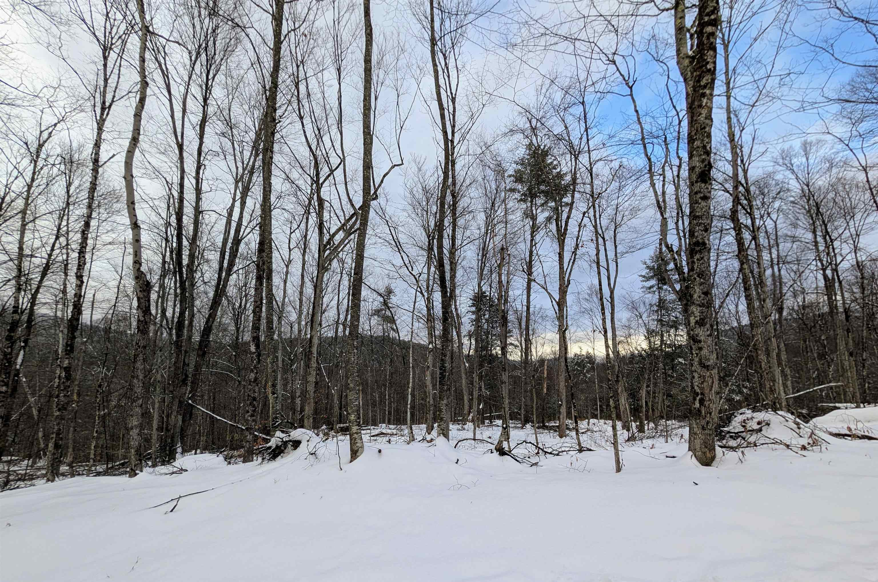 0 Dover Road South Newfane, VT 05351 - Photo 11 of 15