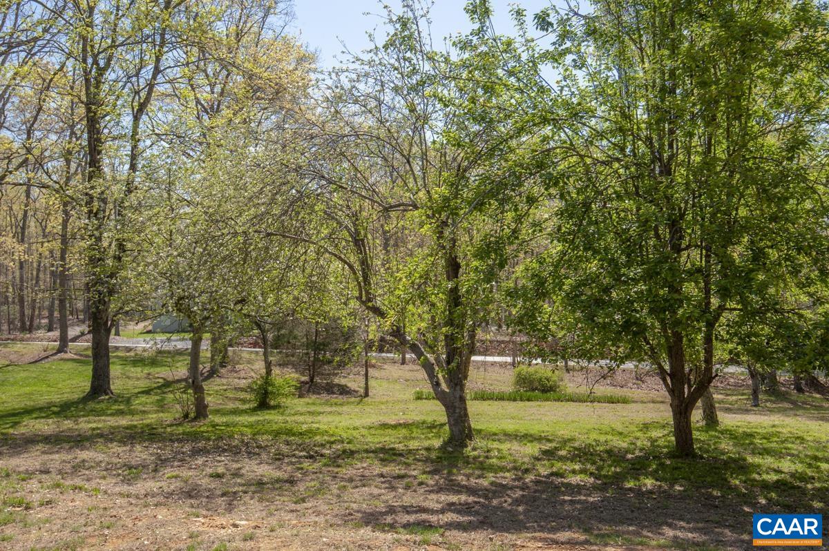 8882 James River Road Shipman, VA 22971 - Photo 46 of 50 a view of outdoor space with trees